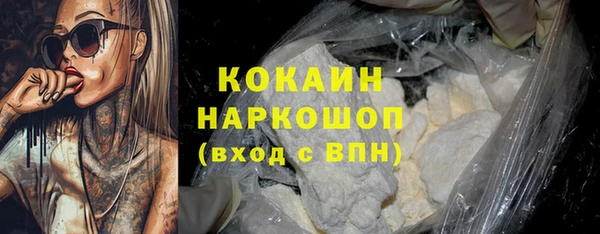 молекула духа Ладушкин