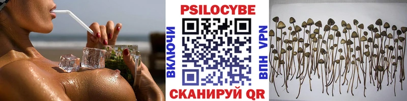 Галлюциногенные грибы Cubensis  Нариманов 
